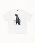 BIG & MEATY TEE PIGMENT DYED