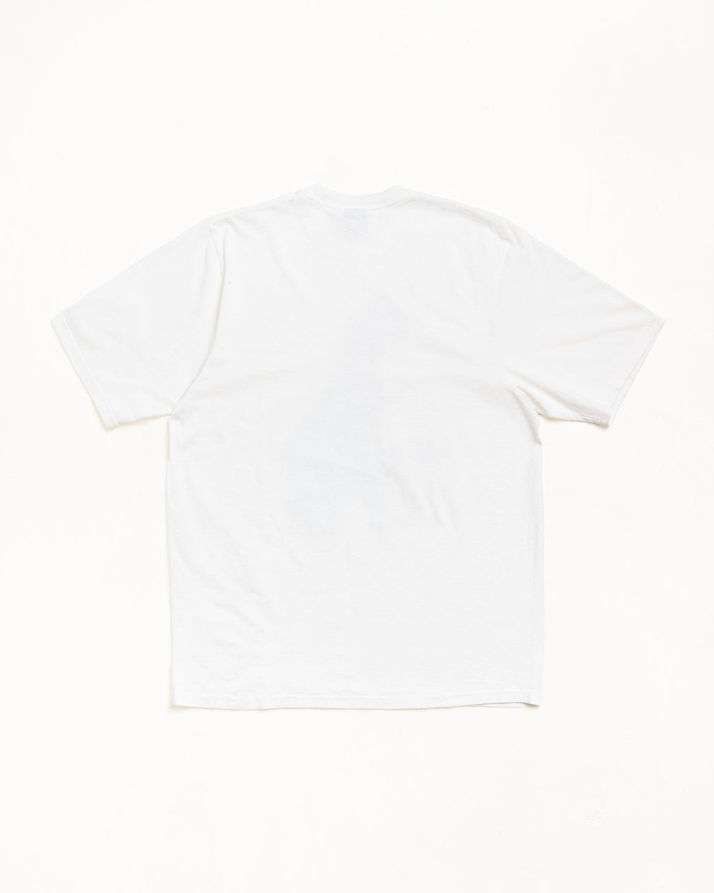 BIG & MEATY TEE PIGMENT DYED