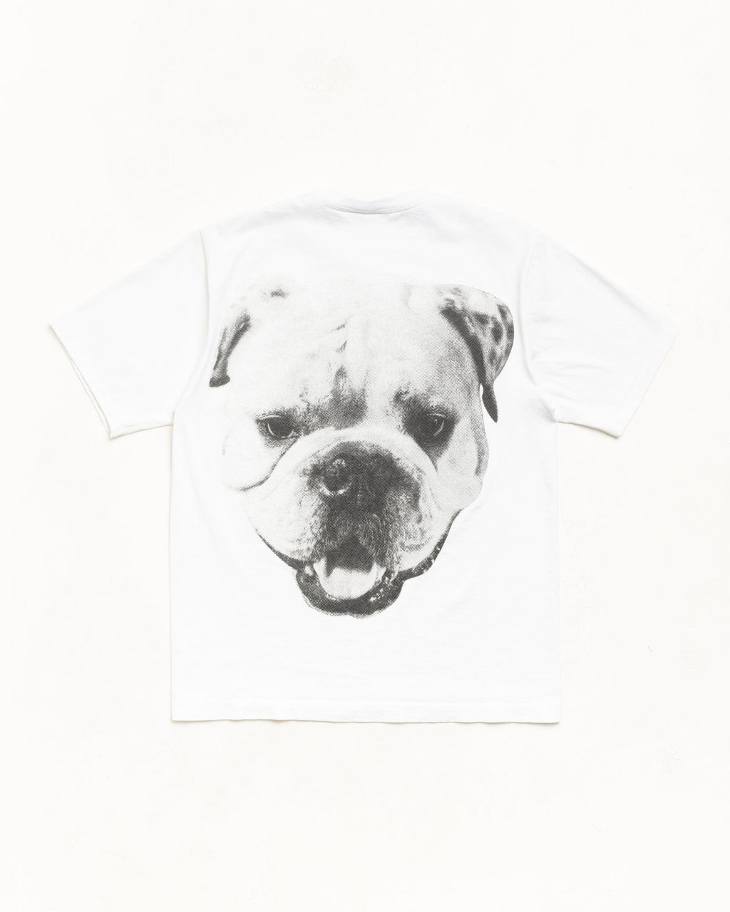 BIG DOG STONE WASHED TEE