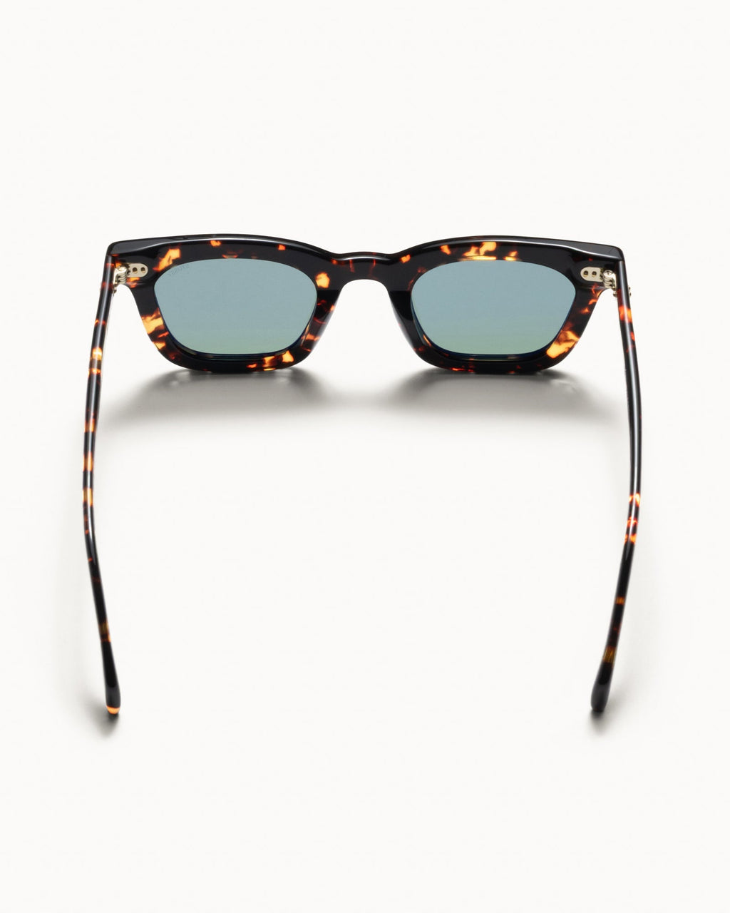 ACE SUNGLASSES